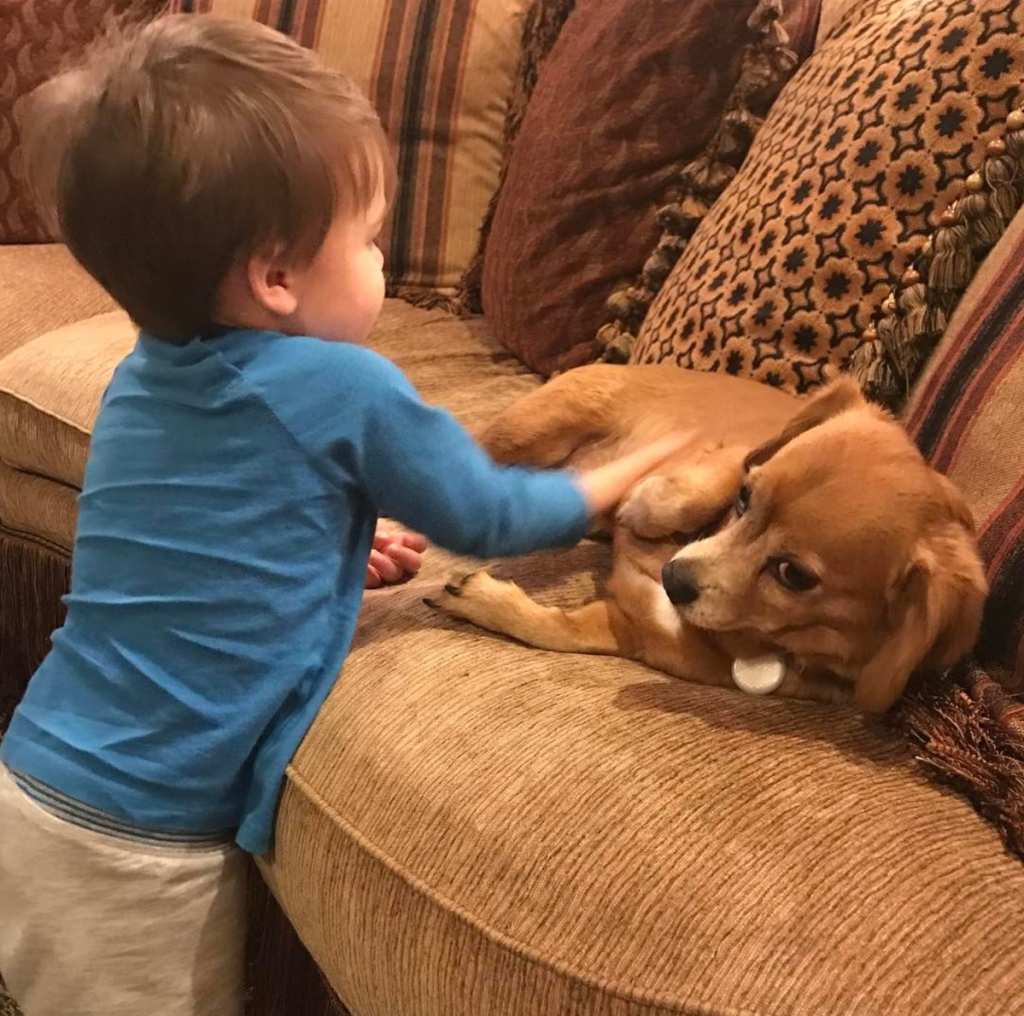 Isaiah With Dog January 2017