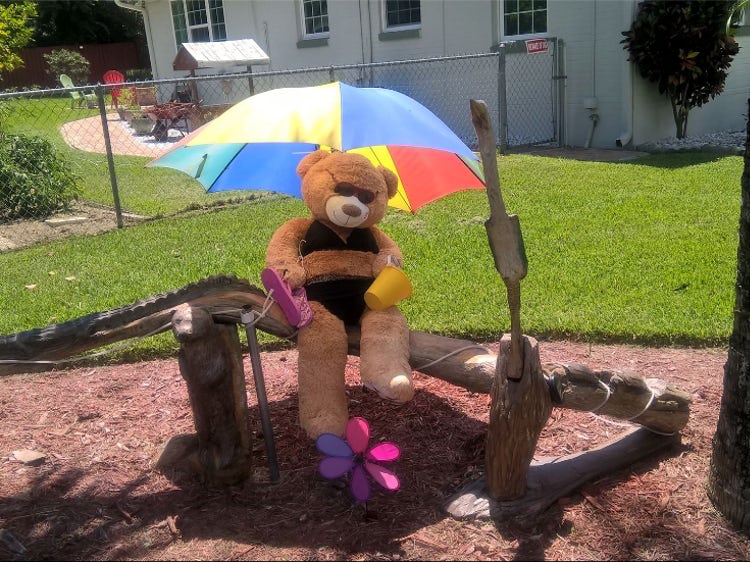 ormond-beach-bear.jpg