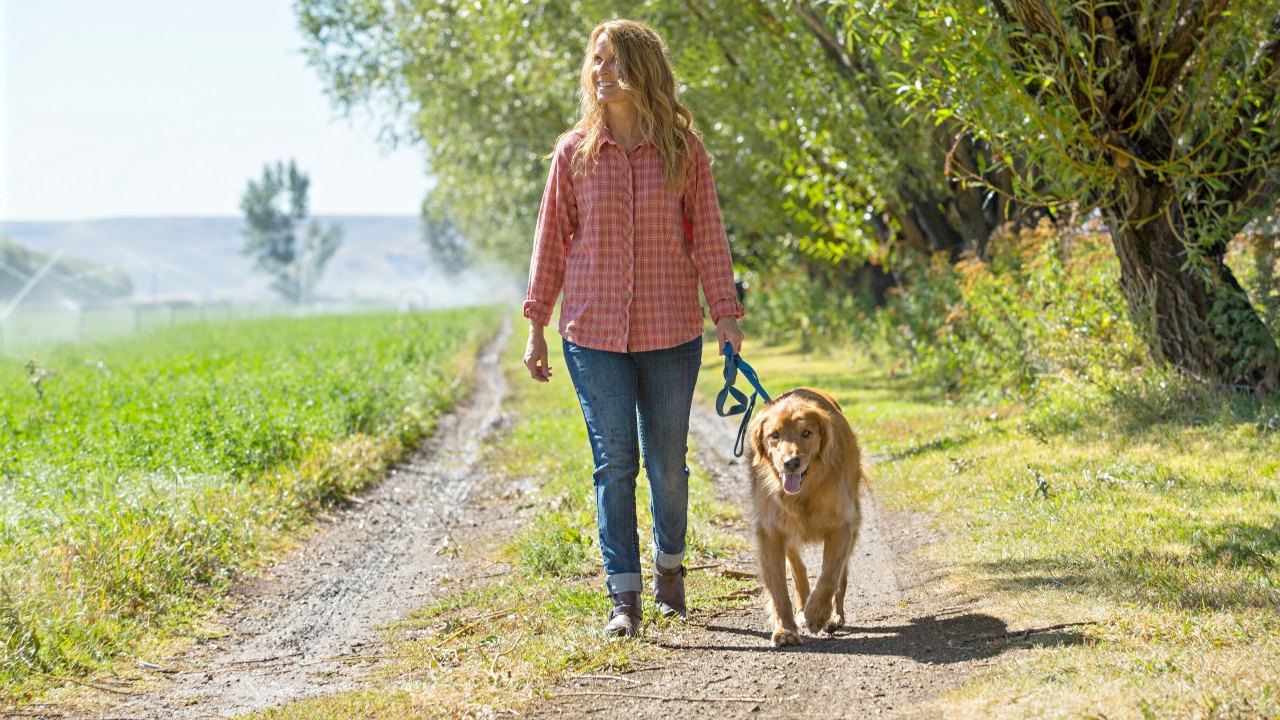 Walking Woman s World Walking woman s world