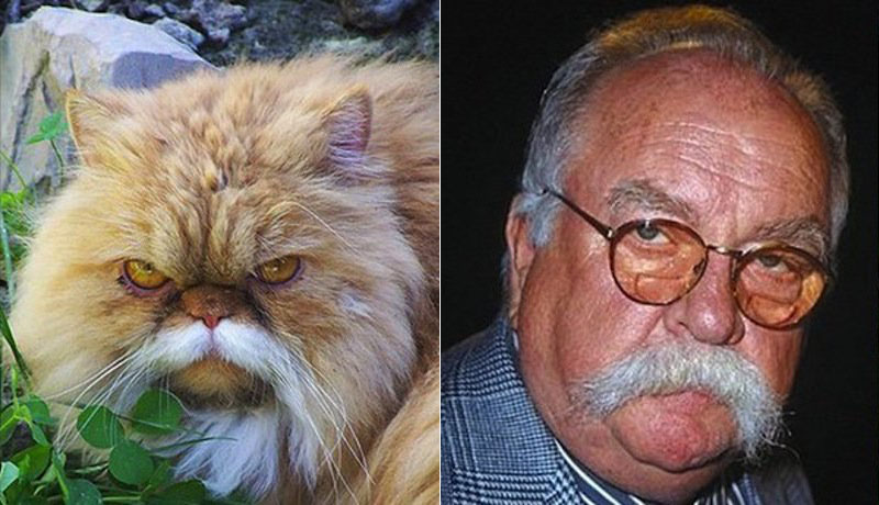 2animal Celebrity 11