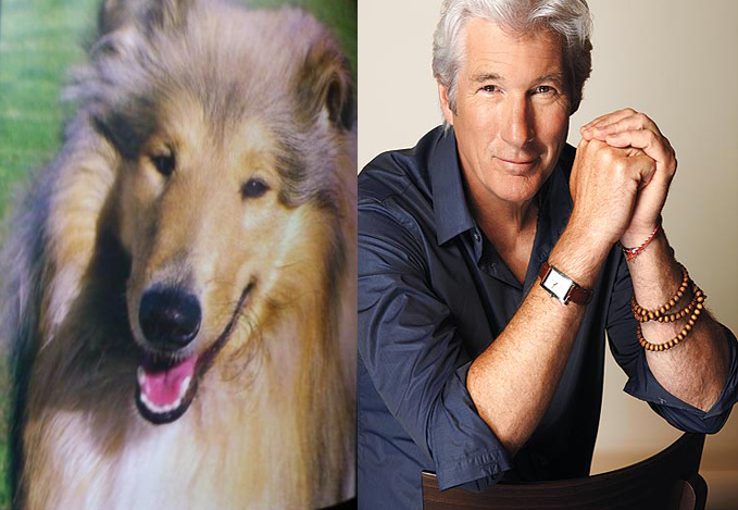 Animal Celebrity 14