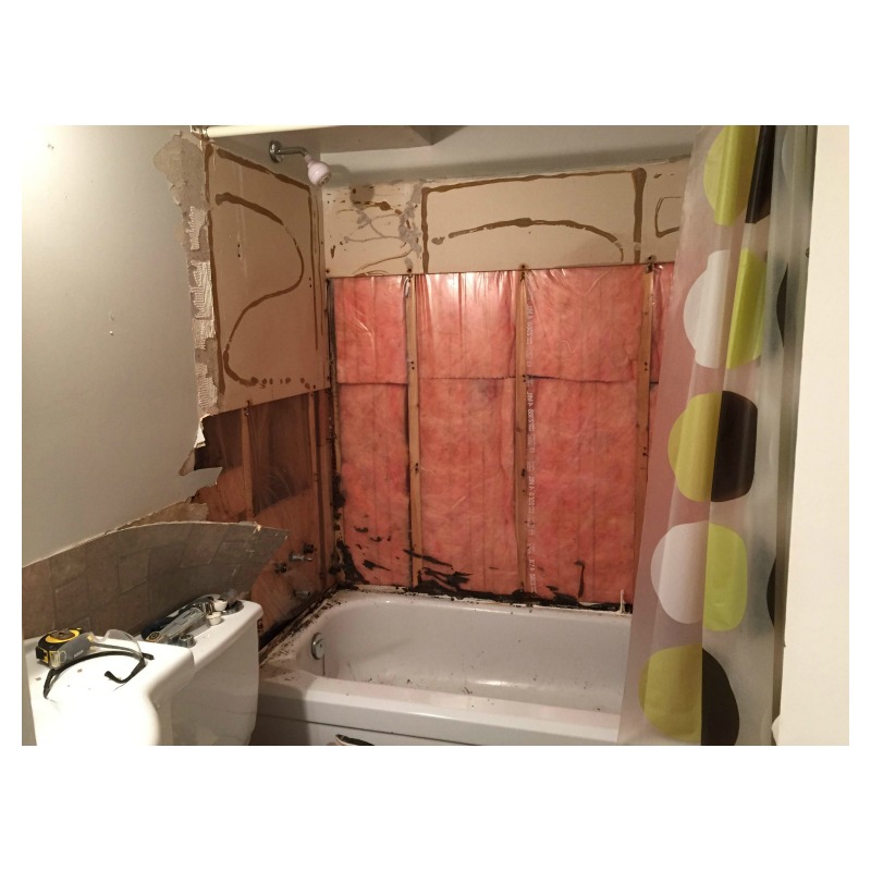 Bathroom Renovation 2