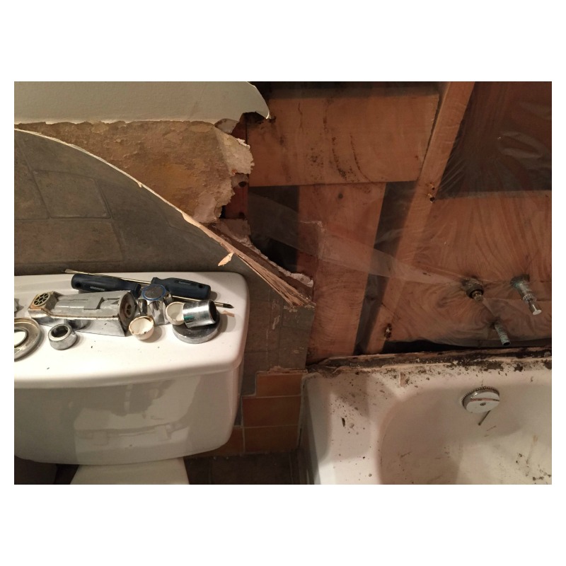 Bathroom Renovation 3