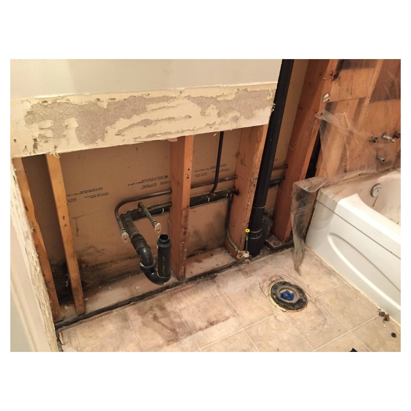 Bathroom Renovation 5