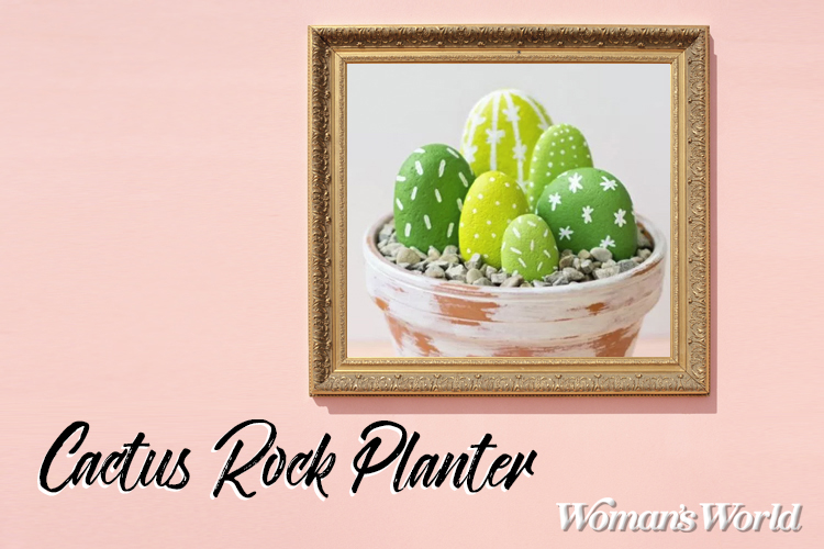 Cactus Rock Planter