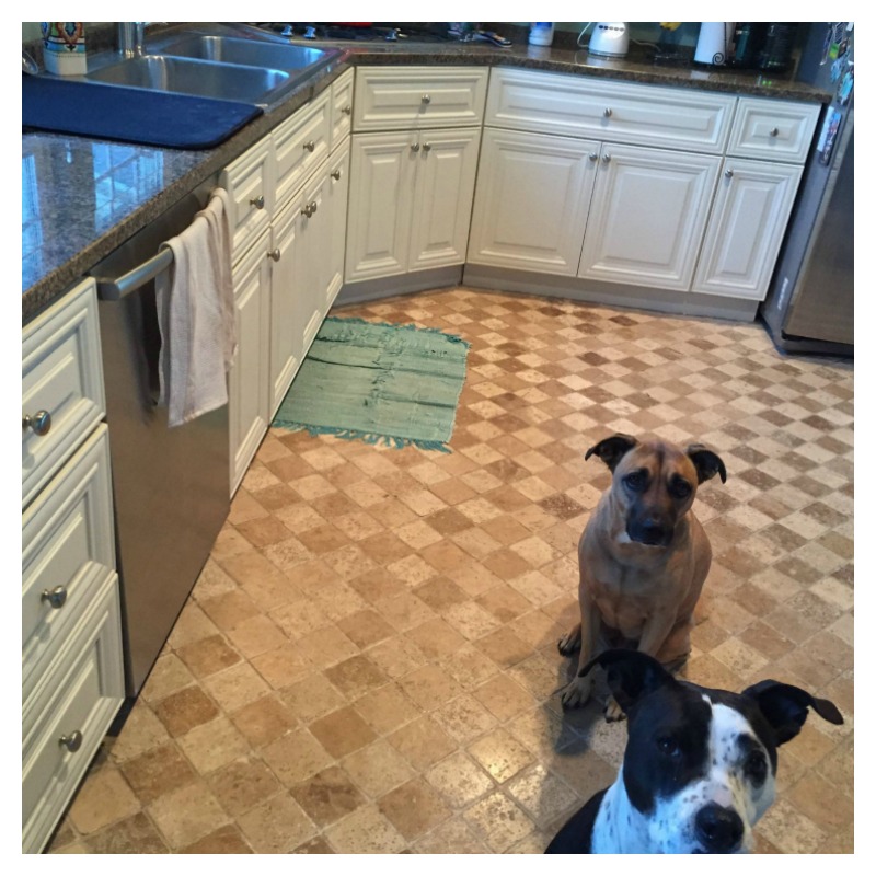 Kitchen Cabinet Resurfacing 11