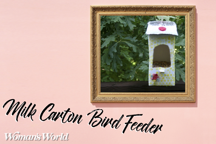 Milk Carton Bird Feeder