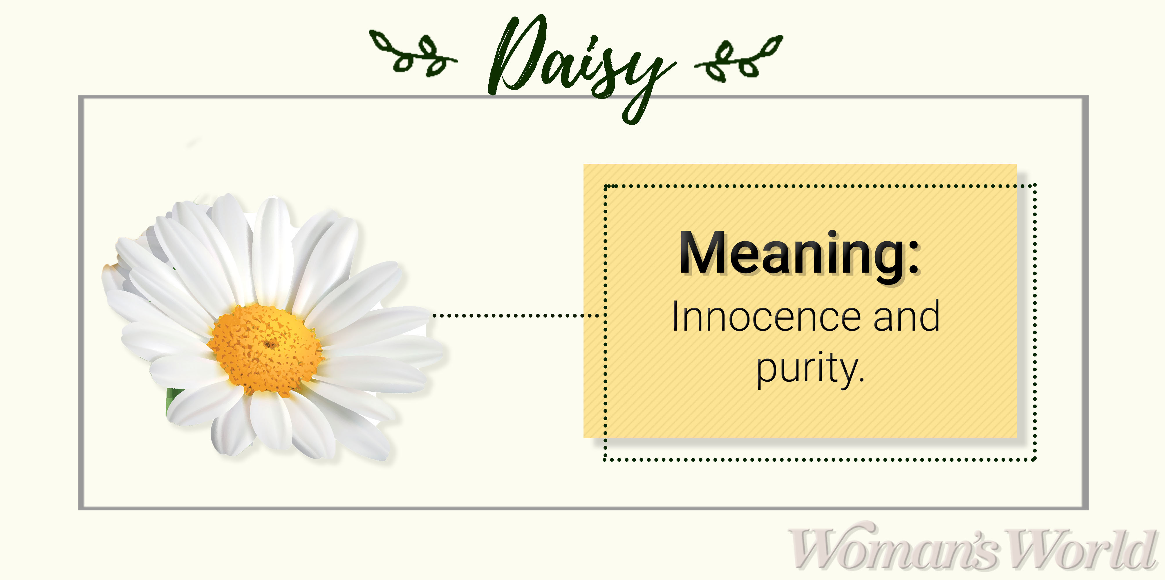 Daisy Meaning