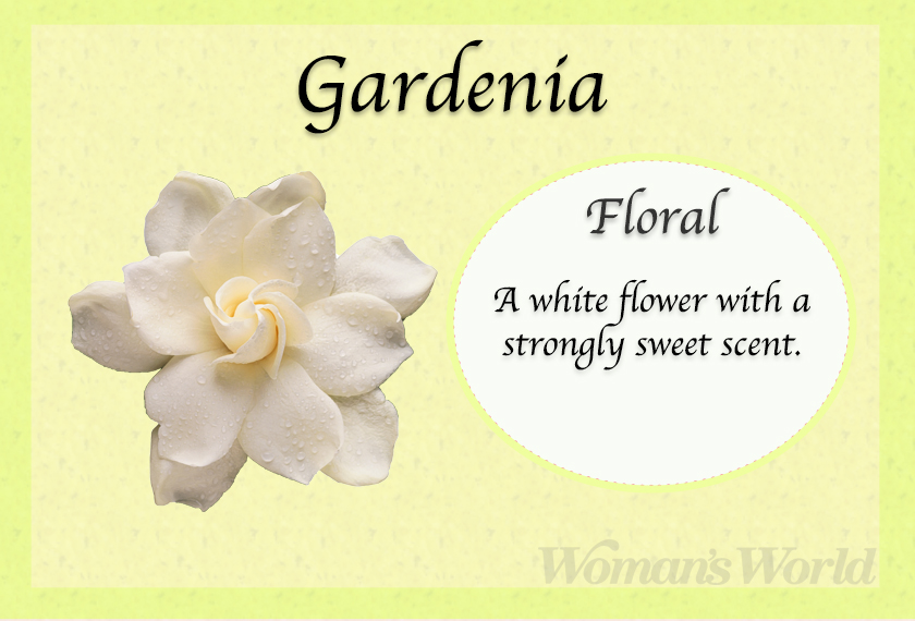 gardenia perfume note