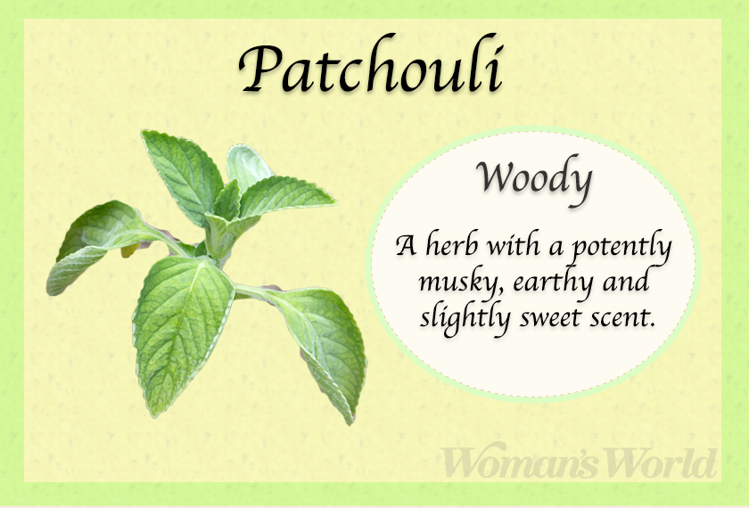 patchouli perfume note