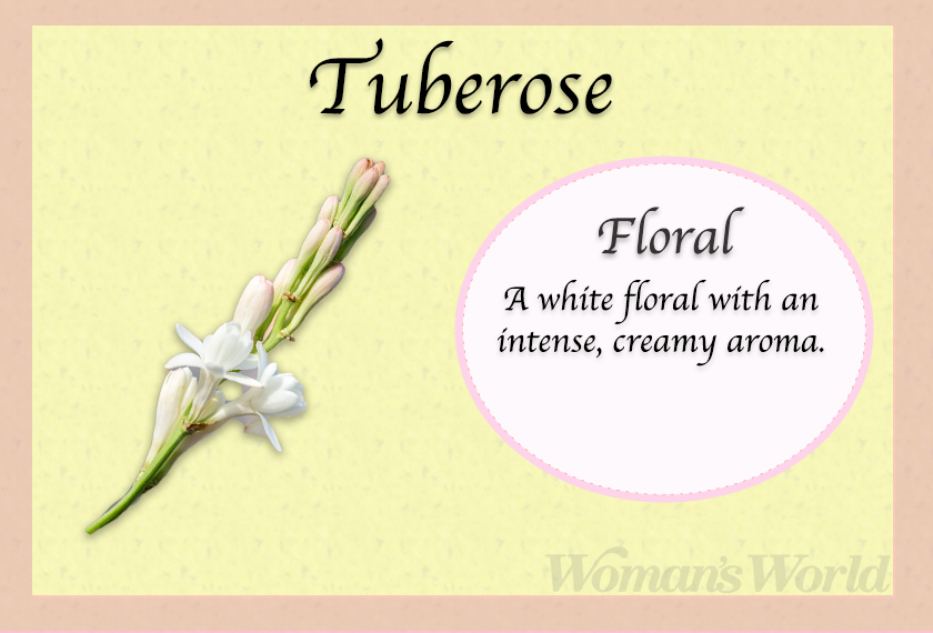 tuberose perfume note