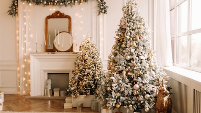 decorated Christmas tree and mantel; when to decorate for Christmas