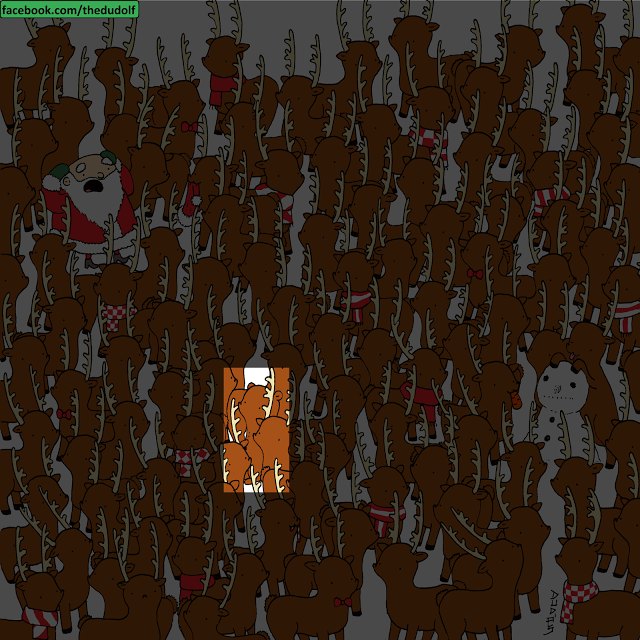 find bear among reindeer solution