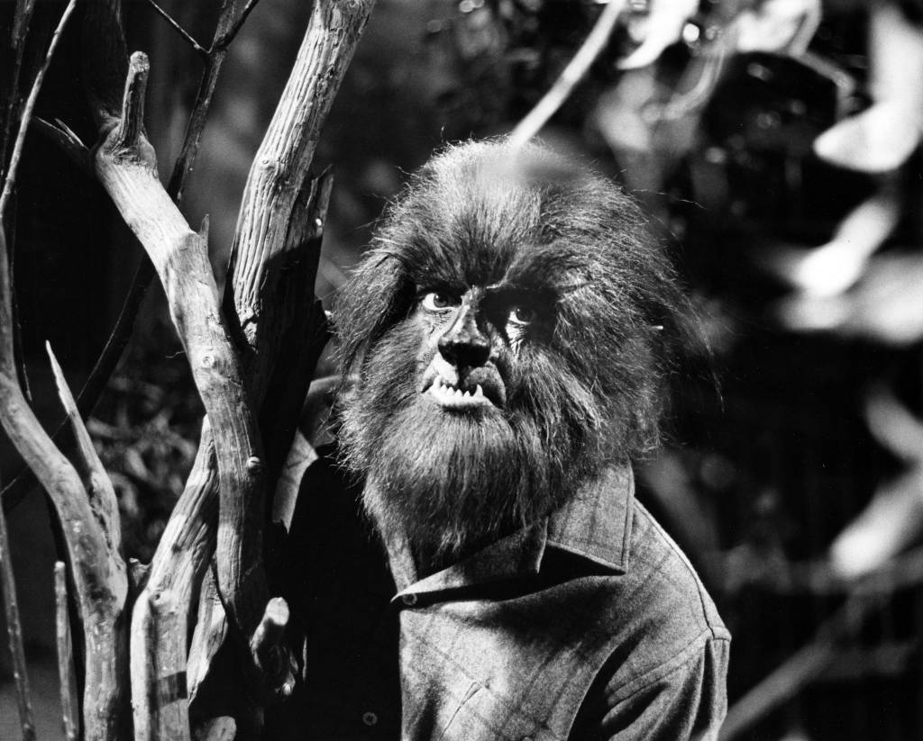 Dark Shadows - Werewolf