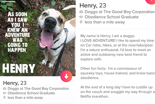 Henry's Tinder Profile