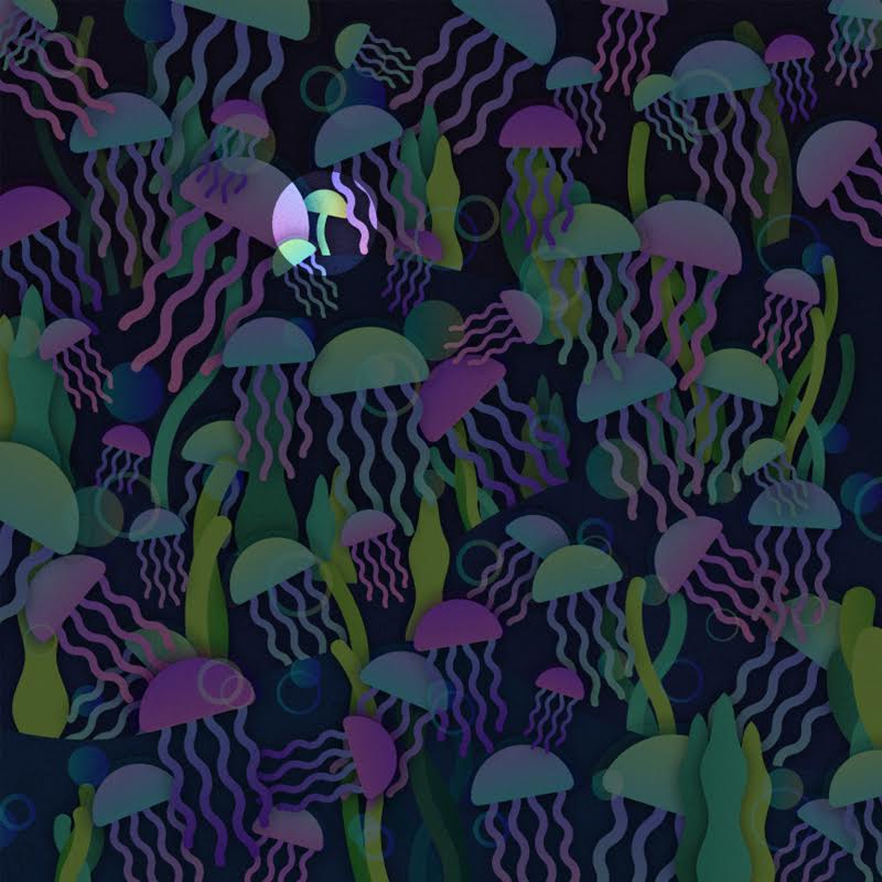 jellyfish puzzle answer