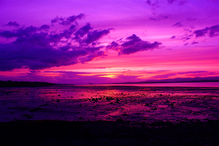 Purple Sunset