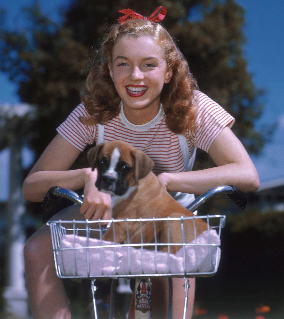 Marilyn Monroe poses with a dog in 1946