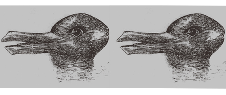 rabbit duck optical illusion