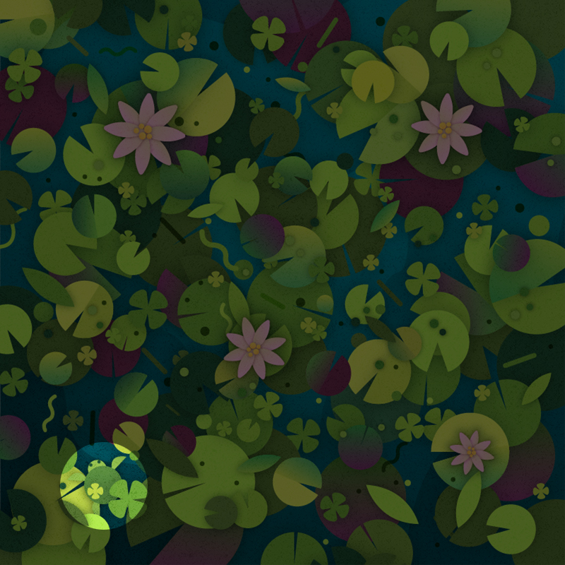 lilypads puzzle answer