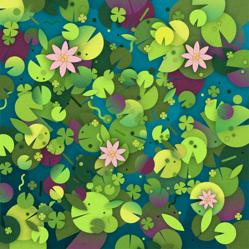 lilypads puzzle
