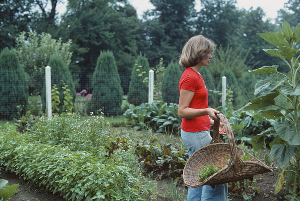 Martha Stewart, 1976