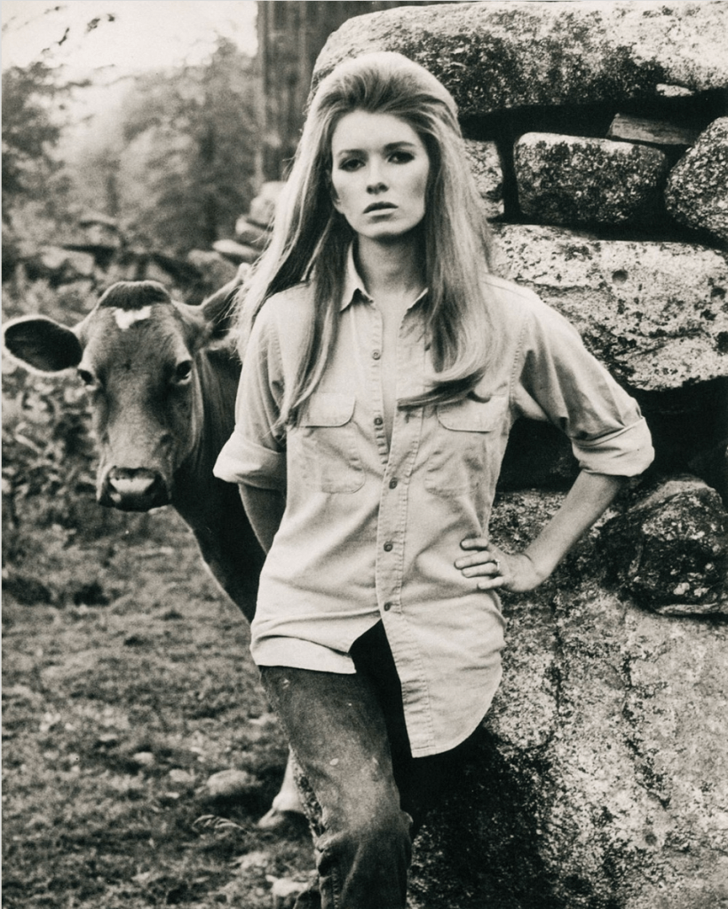 Serene Martha Stewart Images Young Landscape Collection Serene Martha Stewart Images Young Landscape Collection