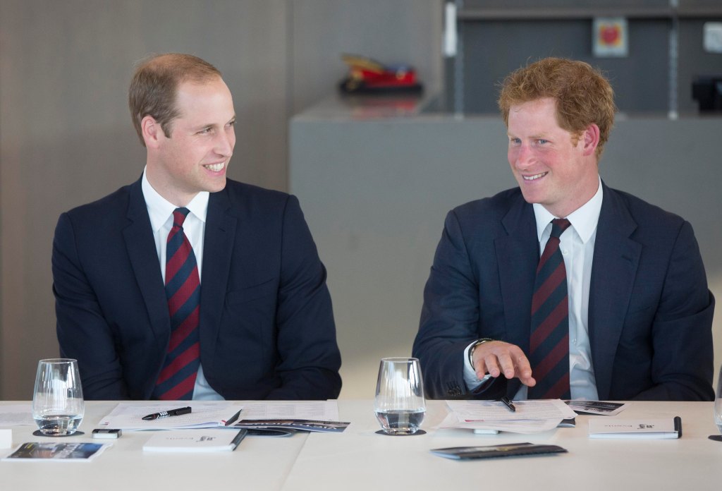 prince harry and prince william