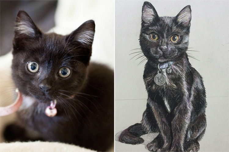 Animal Drawings Cute