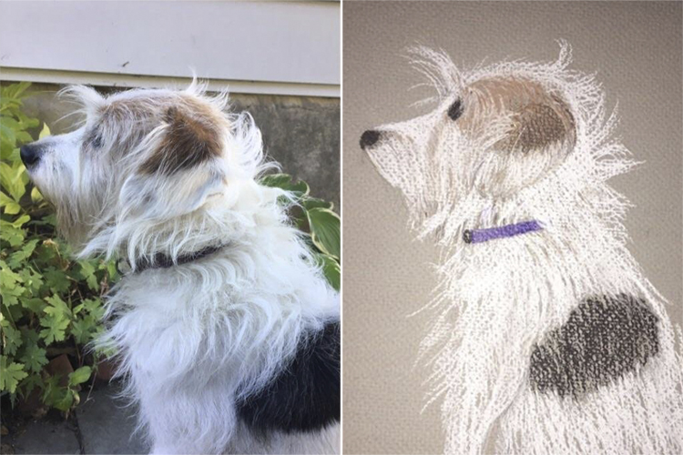 Animal Drawings In Pencil