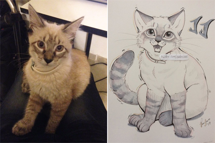 Animal Drawings Pictures