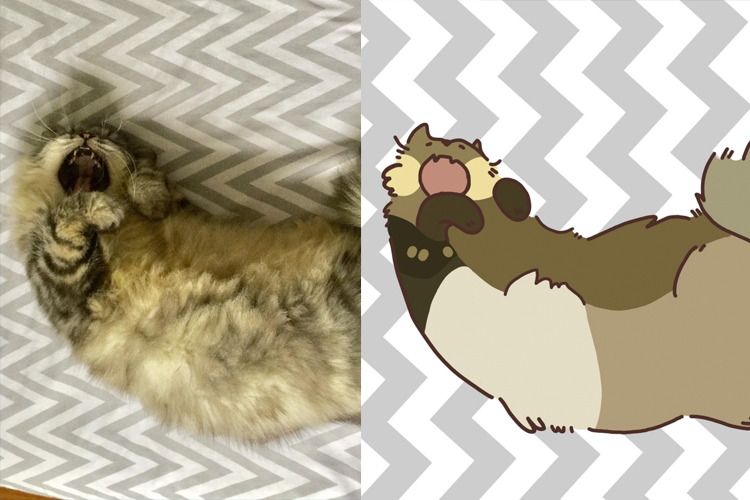 Cartoon Pet Drawing