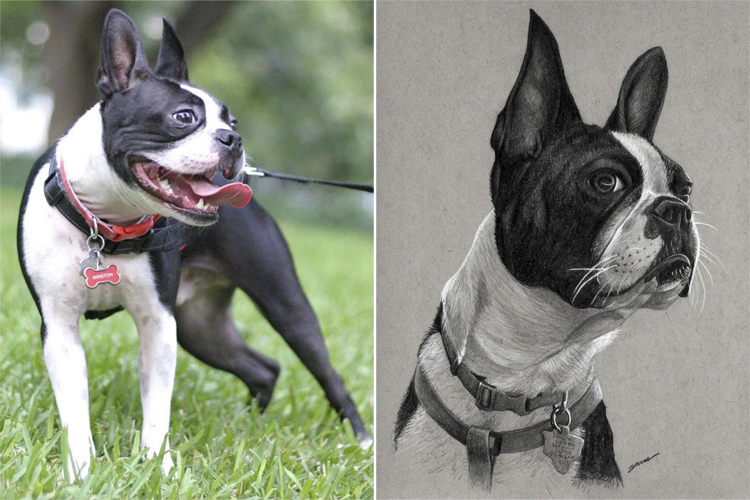 Cute Animal Drawings