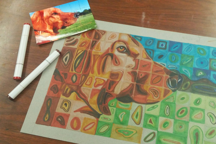 Pet Animal Drawings