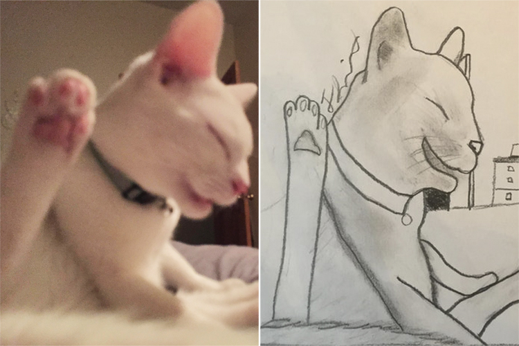 Pet Drawings