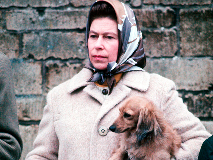 Queen Elizabeth's Dorgi Dogs Are Still 