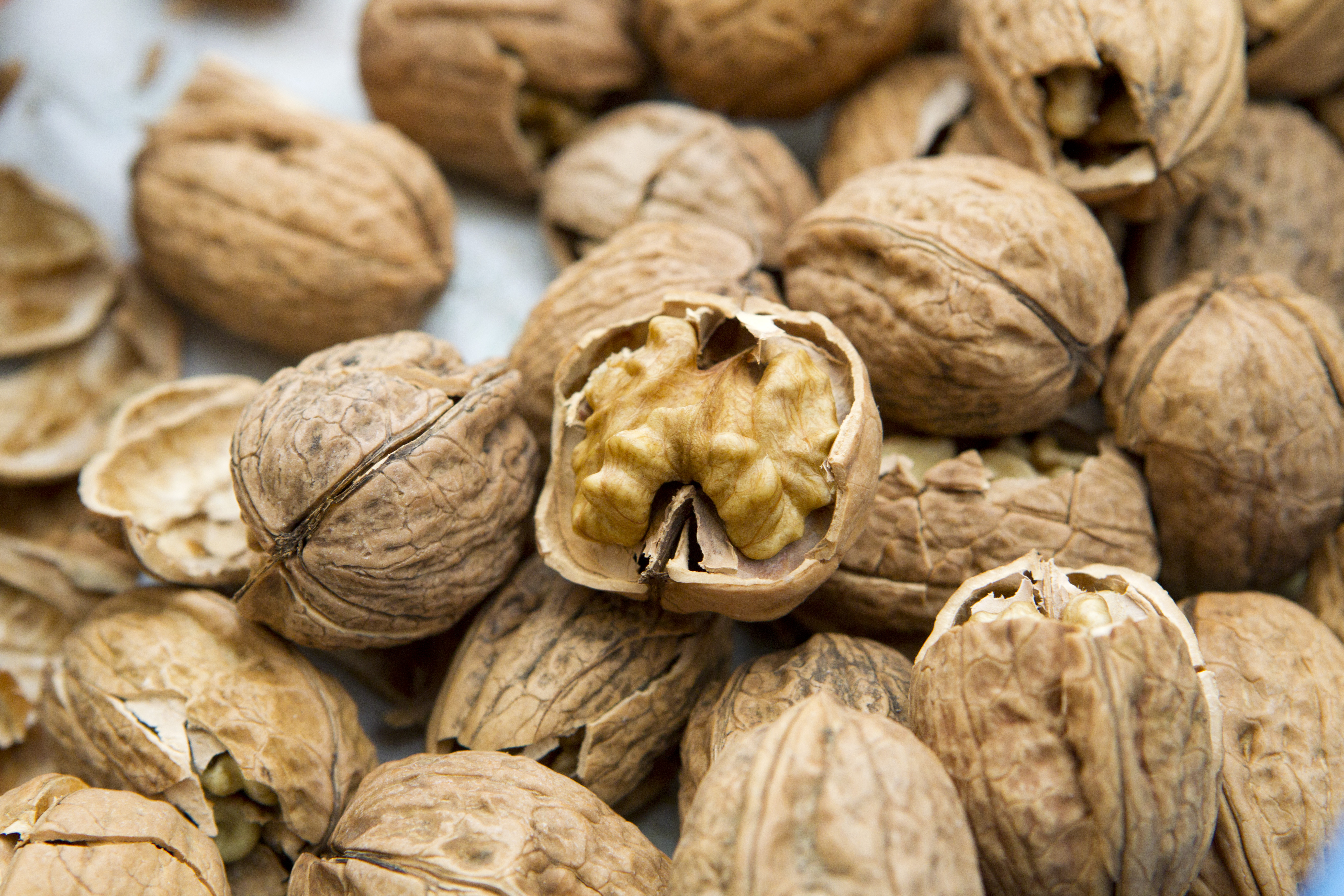 walnuts.jpg