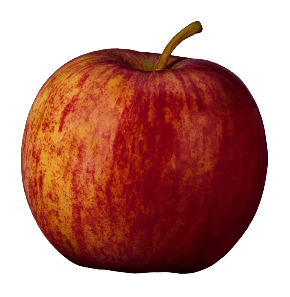 gala apple getty