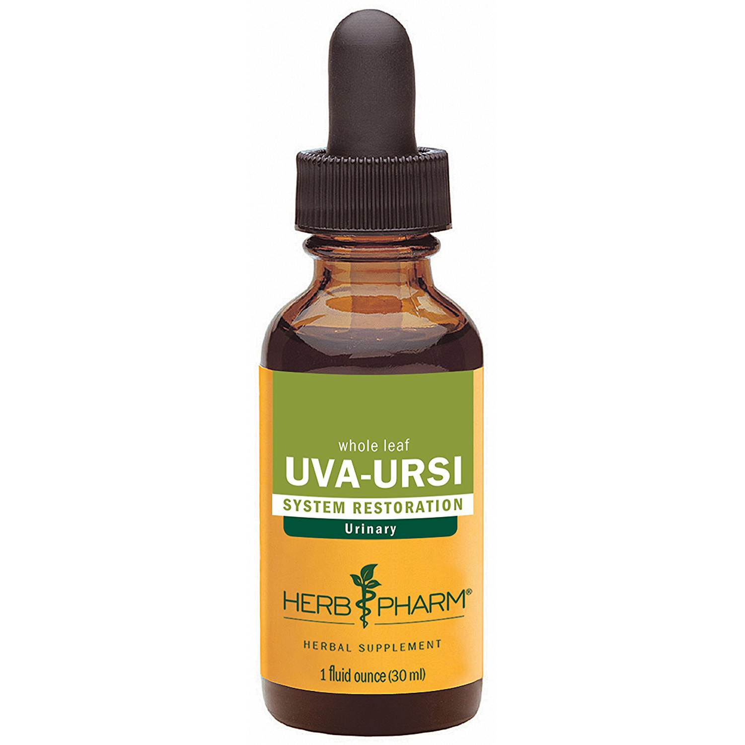 uva ursi herb homeopathic remedies for uti