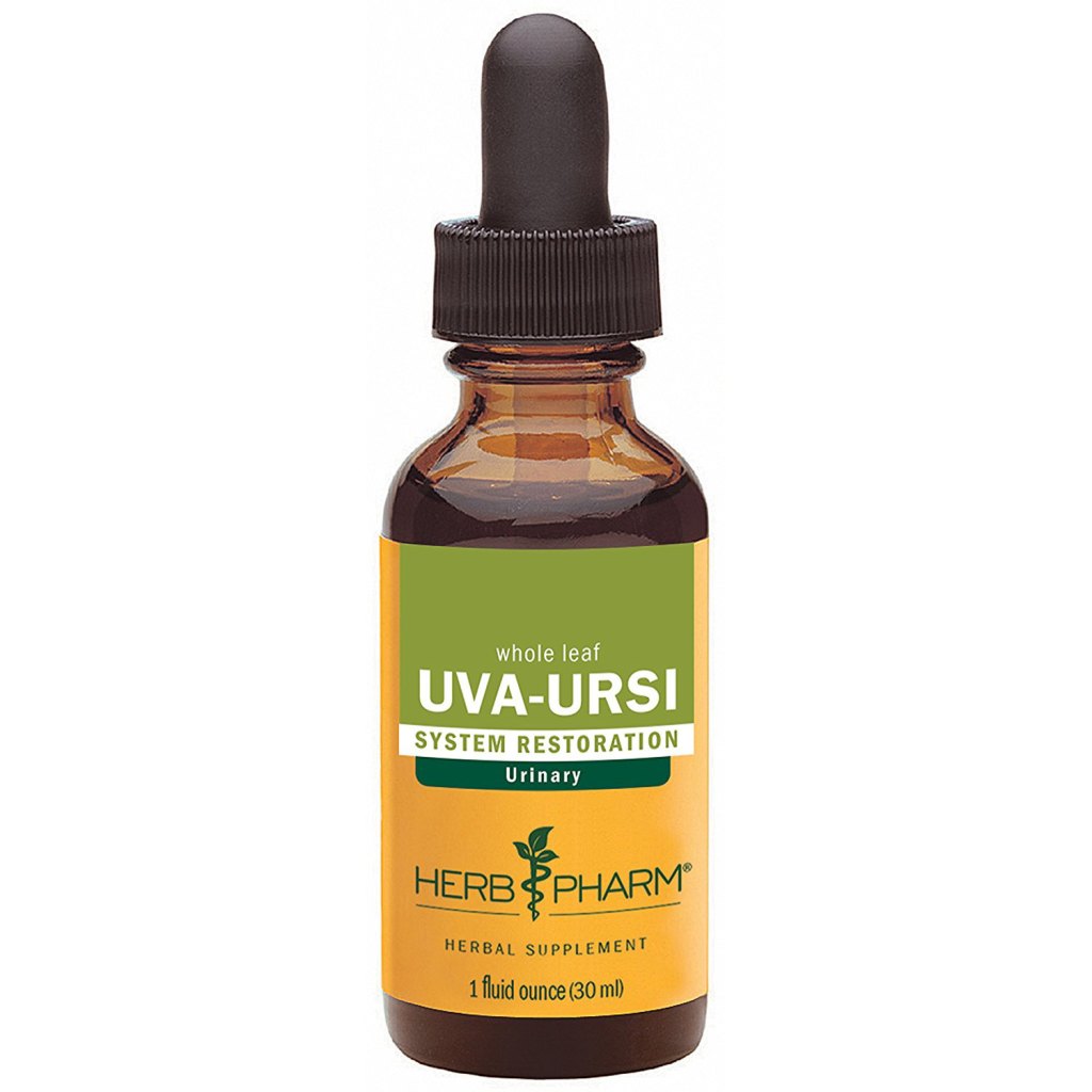 uva ursi herb homeopathic remedies for uti