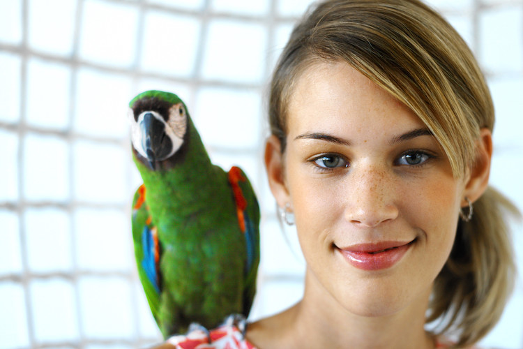 Beautiful Birds