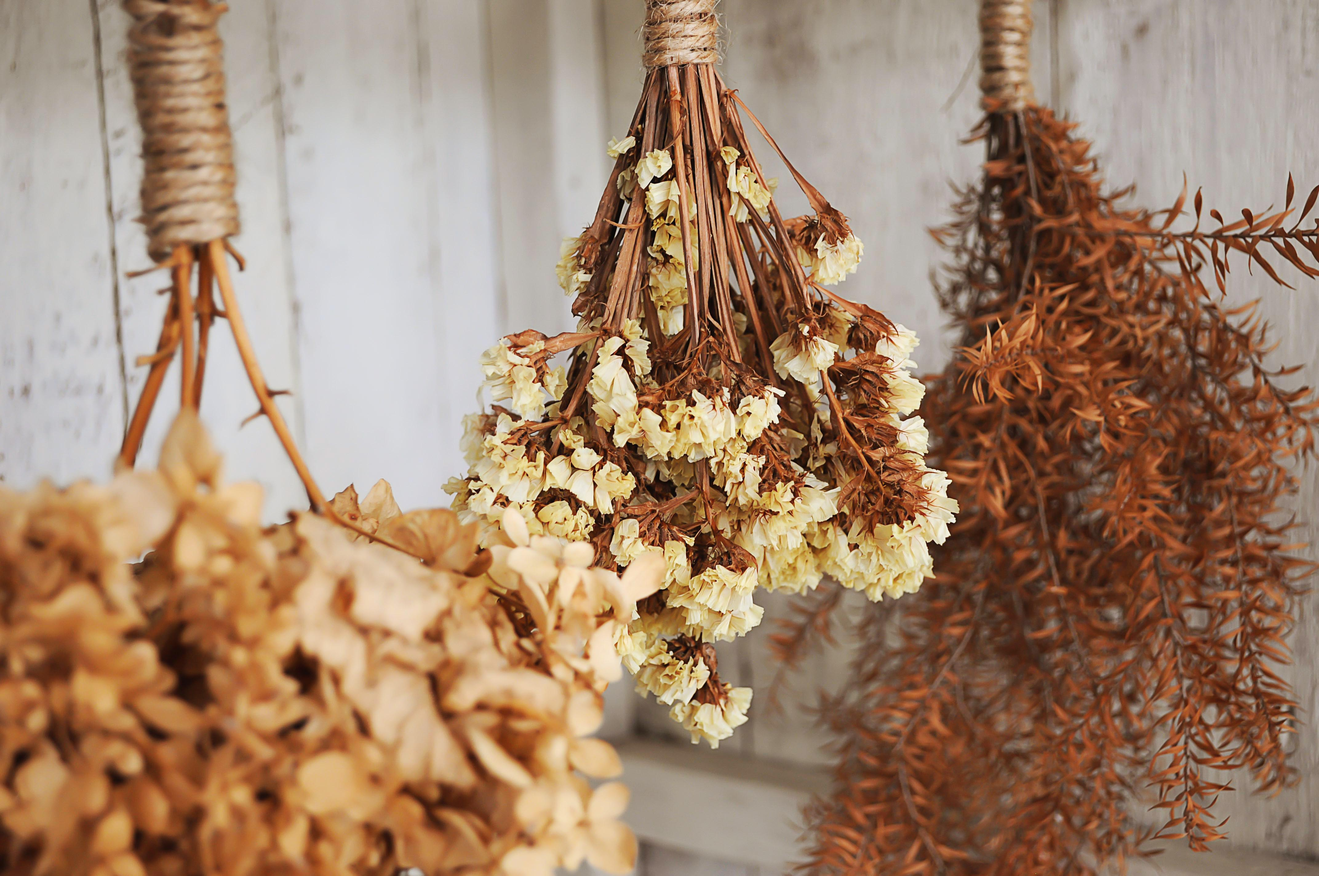 How to Dry Flowers so You Can Have Beautiful Bouquets All Year Long