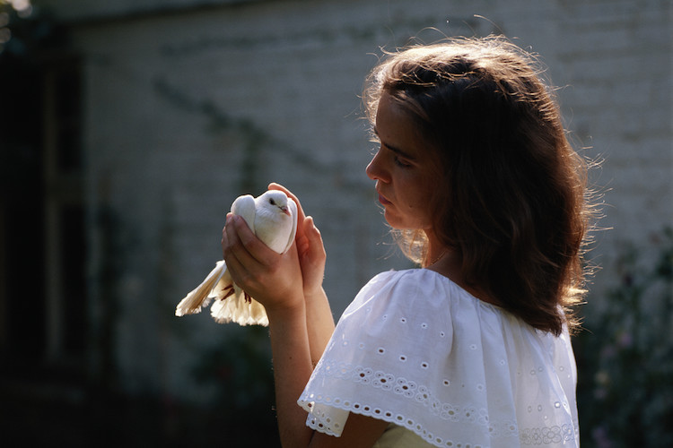 Petting Birds