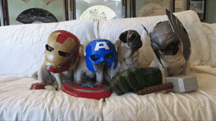 Avengers assemble gif