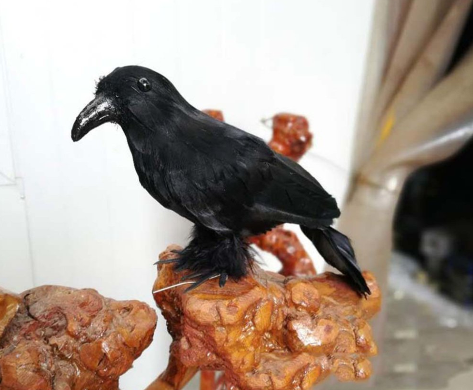 crow halloween decorations