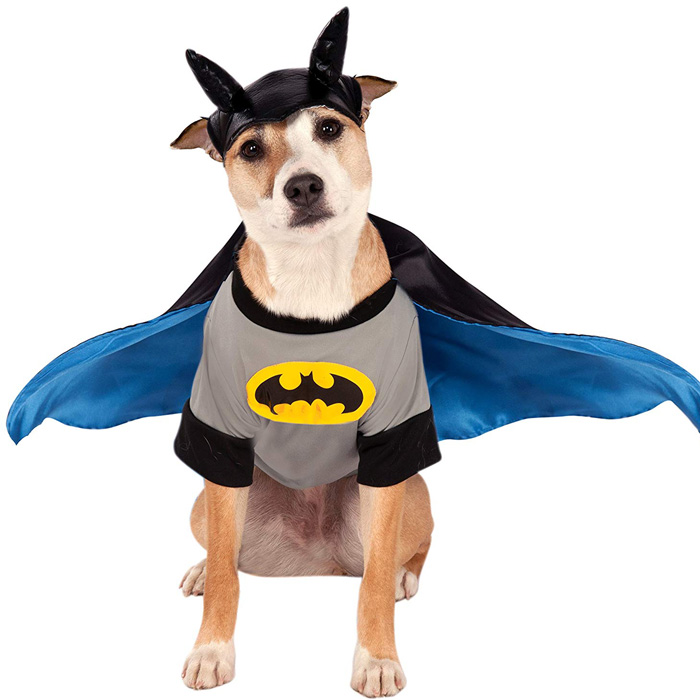 Dog Batman Halloween Costume