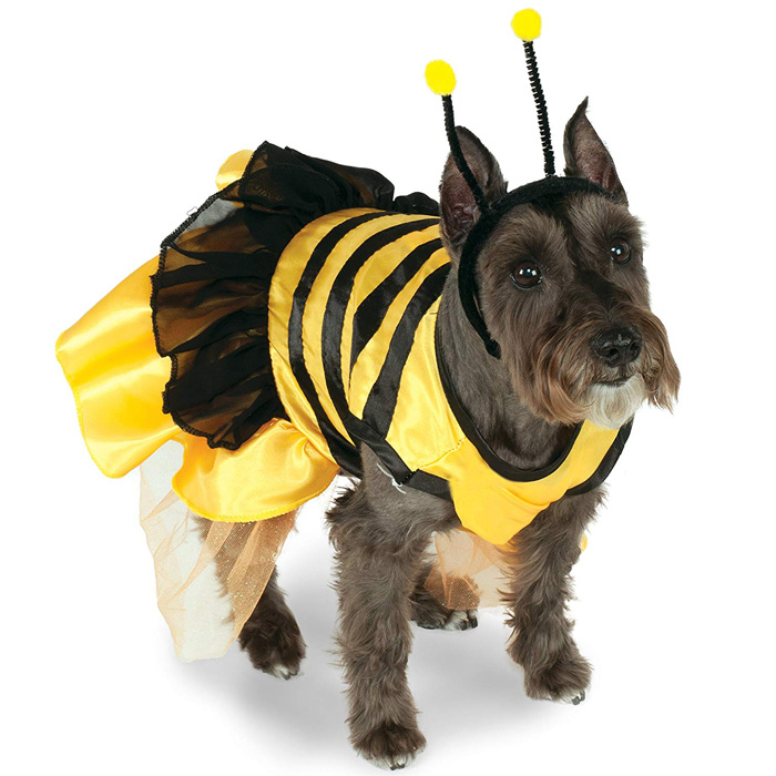 Dog Bee Costume