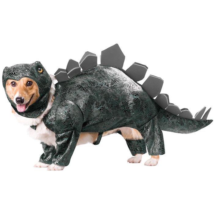 Dog Dinosaur Costume