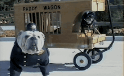 dog police costume