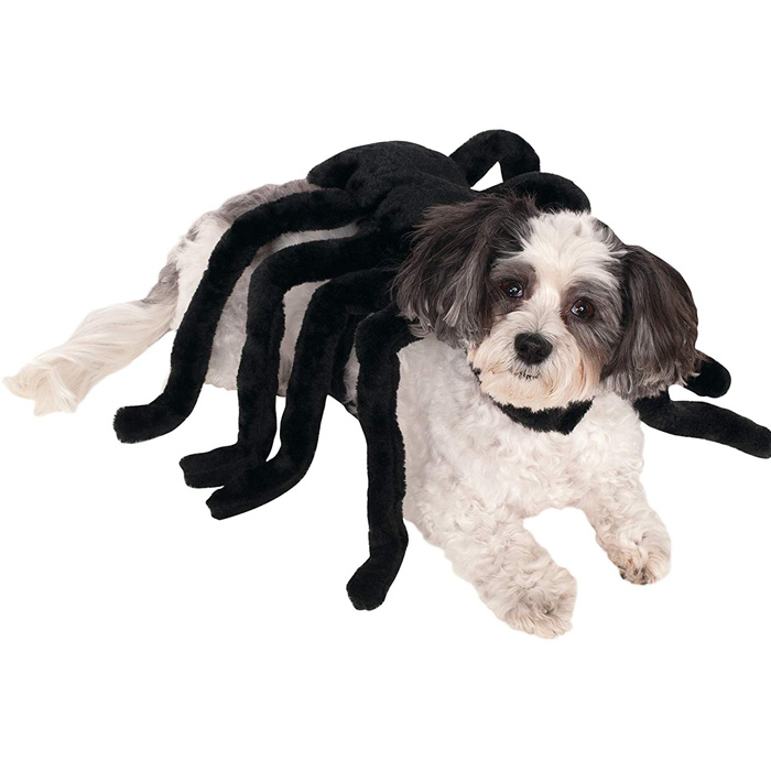 Dog Spider Costume
